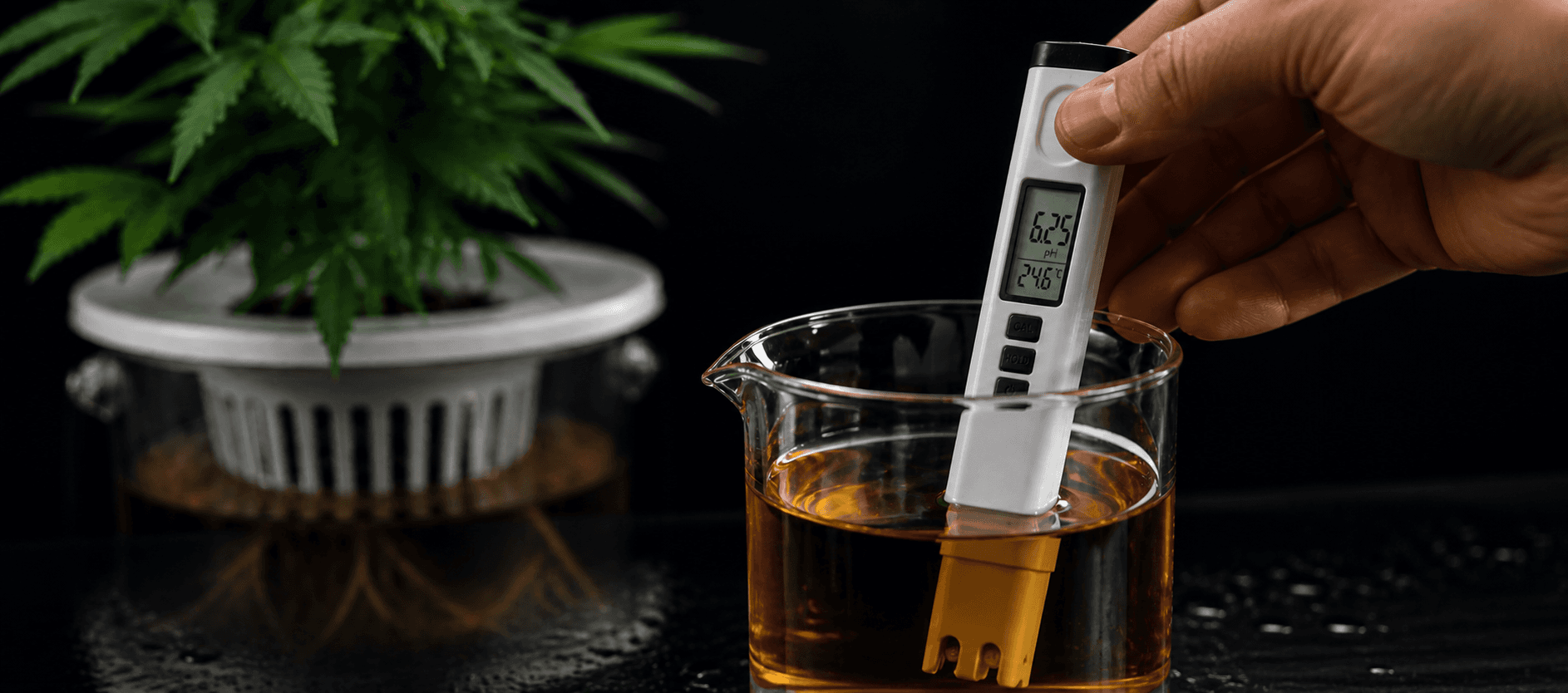 Por qué medir el pH es fundamental